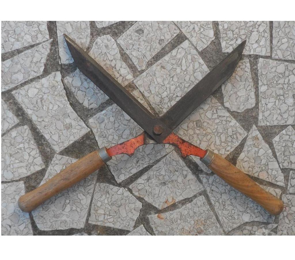  Hérault Castries - 34160 - Photos Vivastreet Taille haie Longueur totale 54 cm, Poignées longueur 20 cm 