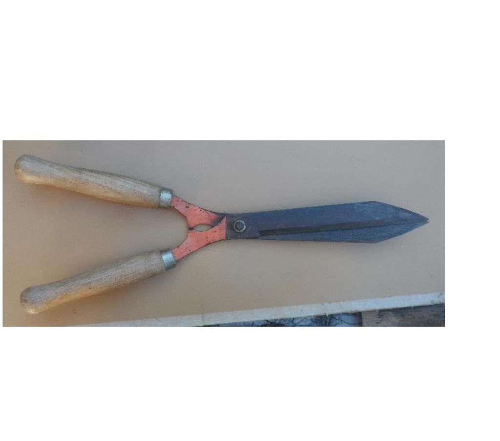  Hérault Castries - 34160 - Photos Vivastreet Taille haie Longueur totale 54 cm, Poignées longueur 20 cm 