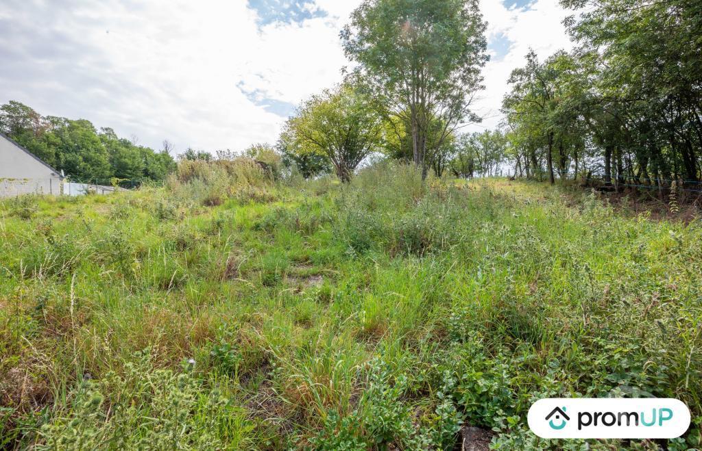 Terrain à vendre Meurthe-et-Moselle Grosrouvres - 54470 - Photos Vivastreet (VT544) Terrain de 1193m2