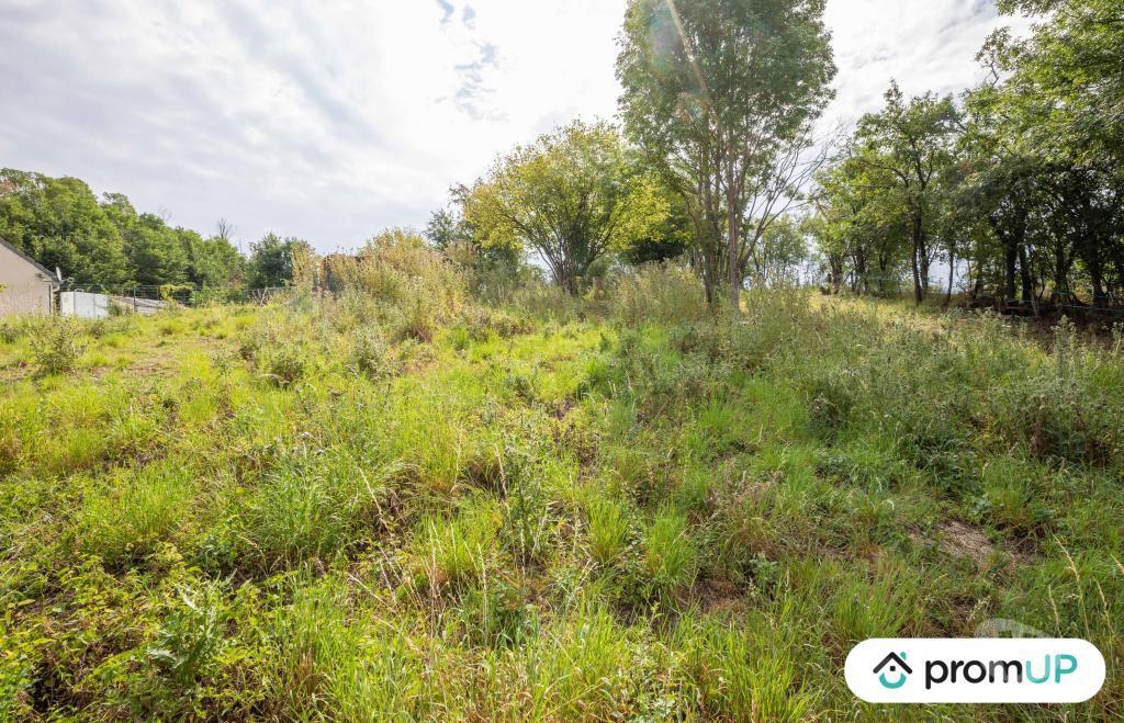 Terrain à vendre Meurthe-et-Moselle Grosrouvres - 54470 - Photos Vivastreet (VT544) Terrain de 1193m2