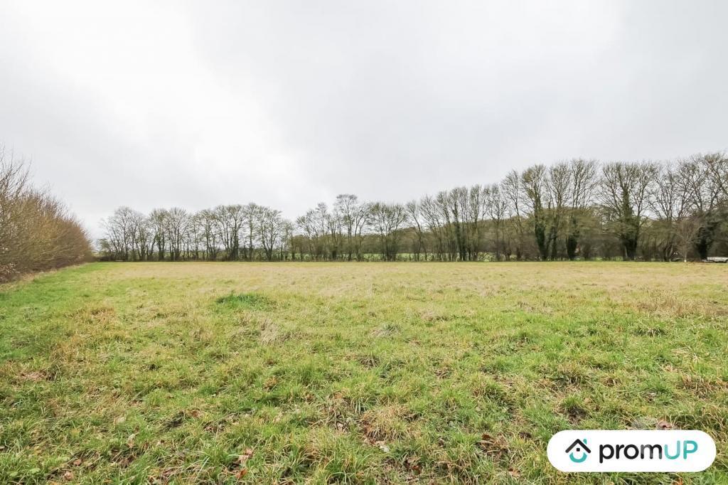 Terrain à vendre Orne Chailloue - 61500 - Photos Vivastreet (VT248) Deux grands terrains constructibles