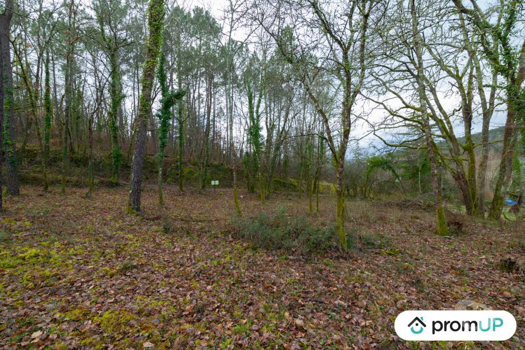 Terrain à vendre Lot Prayssac - 46220 - Photos Vivastreet (V6505) Terrain constructible de 8375 m2 à Prayssac
