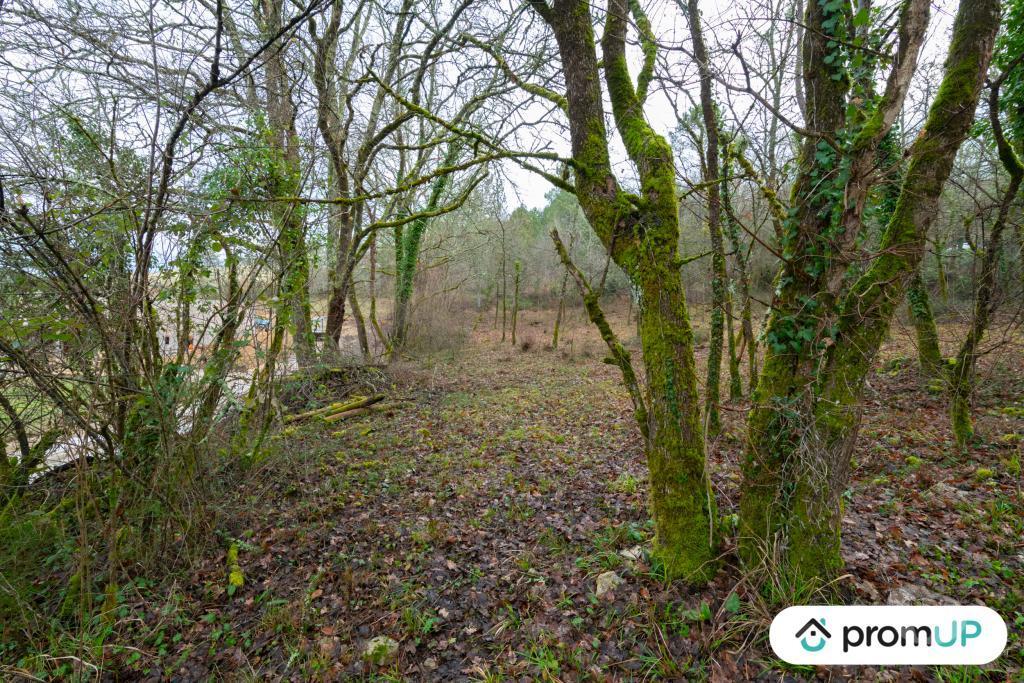 Terrain à vendre Lot Prayssac - 46220 - Photos Vivastreet (V6505) Terrain constructible de 8375 m2 à Prayssac