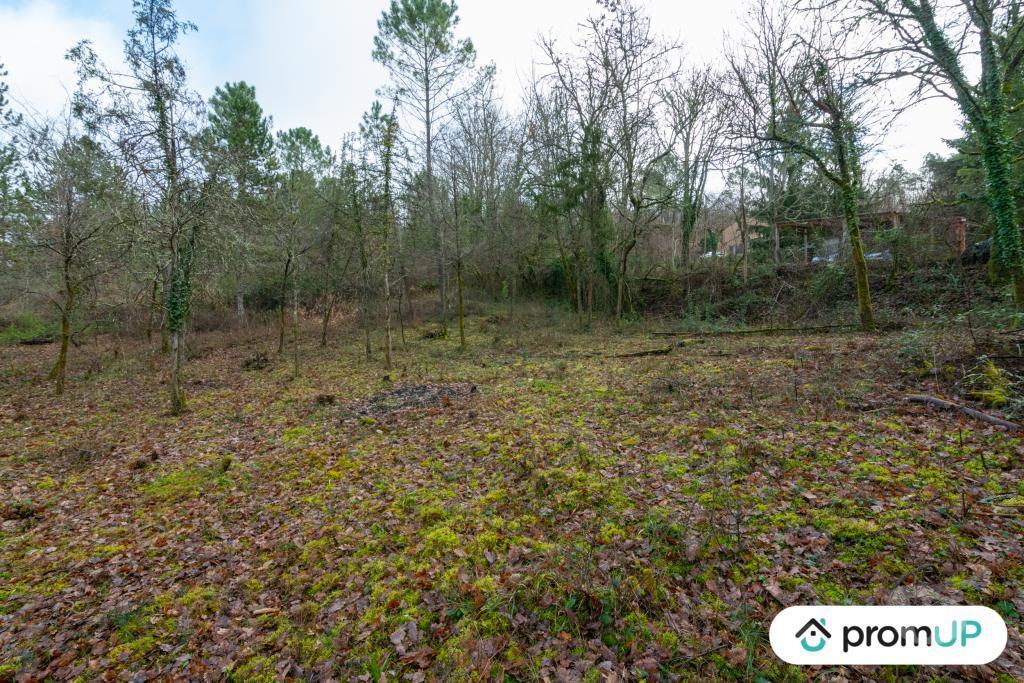 Terrain à vendre Lot Prayssac - 46220 - Photos Vivastreet (V6505) Terrain constructible de 8375 m2 à Prayssac