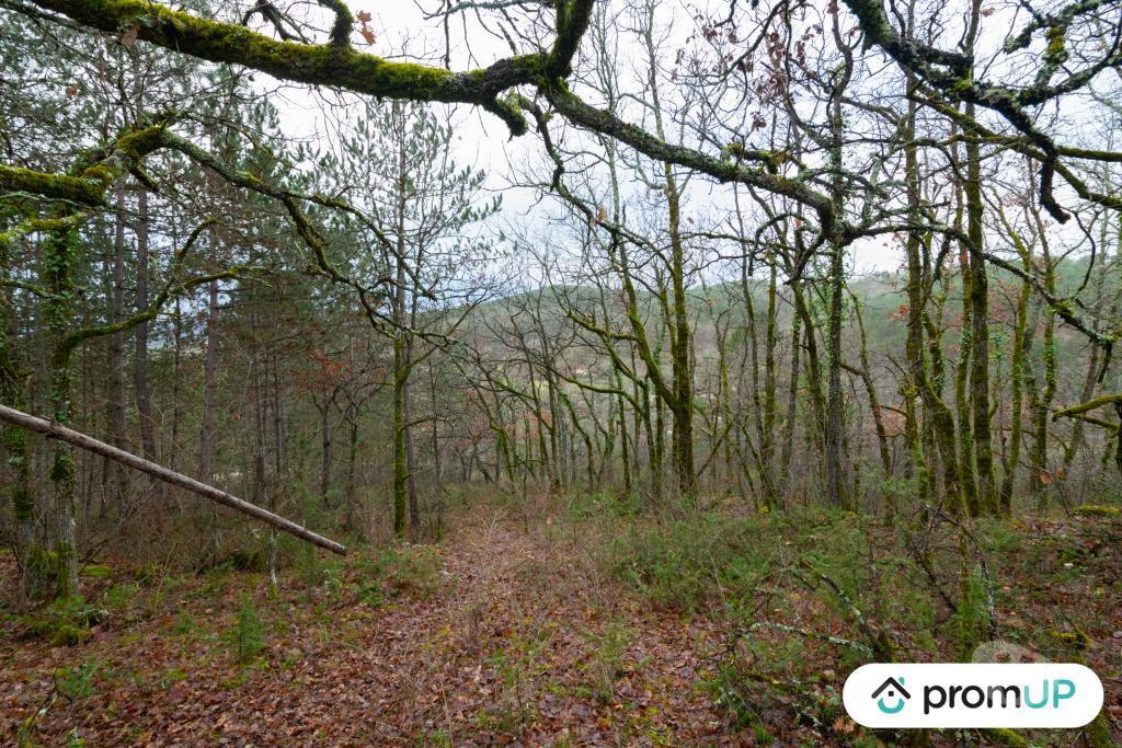Terrain à vendre Lot Prayssac - 46220 - Photos Vivastreet (V6505) Terrain constructible de 8375 m2 à Prayssac