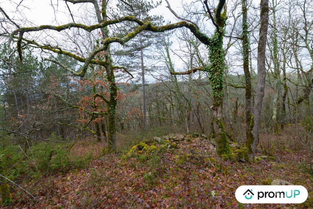 Terrain à vendre Lot Prayssac - 46220 - Photos Vivastreet (V6505) Terrain constructible de 8375 m2 à Prayssac