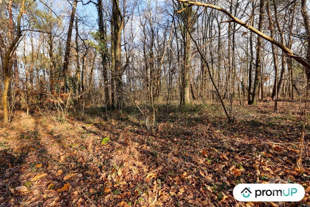 Terrain à vendre Loir-et-Cher Chatillon sur Cher - 41130 - Photos Vivastreet (V6496) Terrain (forêt) de 770 m2 à CHÂTILLON-SUR-CHER
