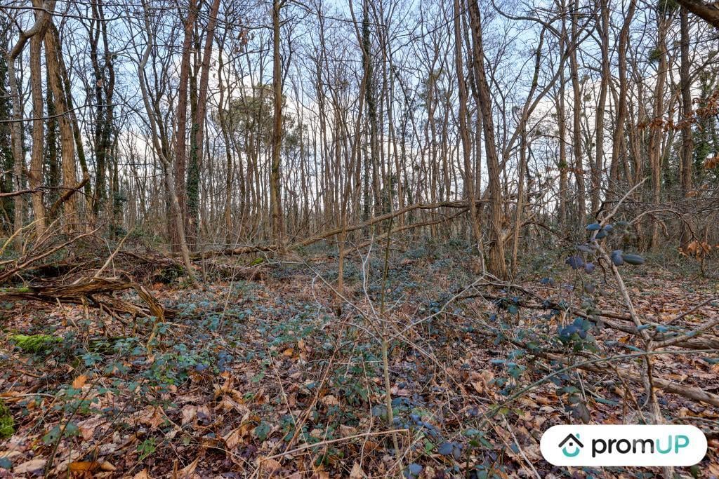 Terrain à vendre Loir-et-Cher Chatillon sur Cher - 41130 - Photos Vivastreet (V6496) Terrain (forêt) de 770 m2 à CHÂTILLON-SUR-CHER