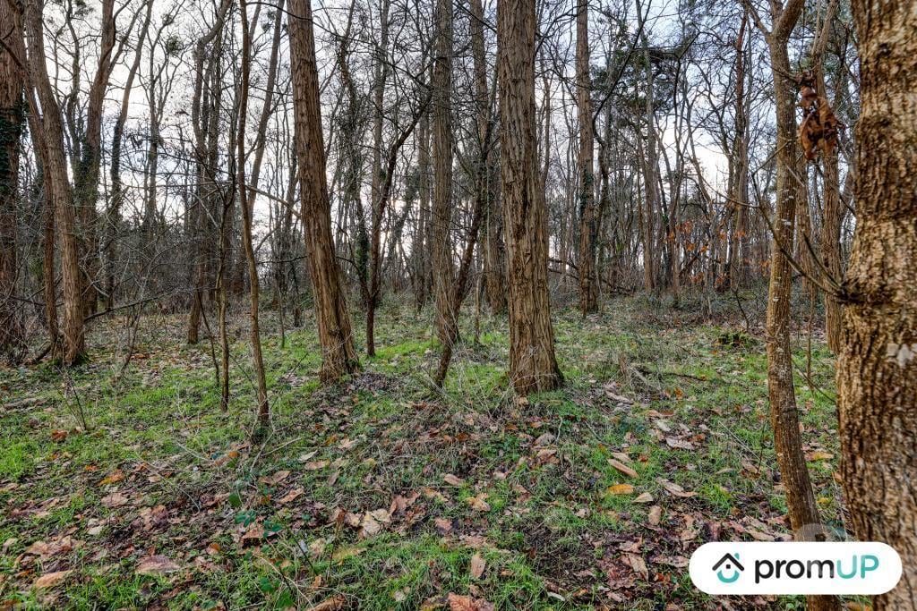 Terrain à vendre Loir-et-Cher Chatillon sur Cher - 41130 - Photos Vivastreet (V6496) Terrain (forêt) de 770 m2 à CHÂTILLON-SUR-CHER