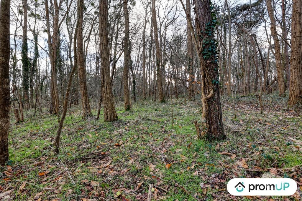Terrain à vendre Loir-et-Cher Chatillon sur Cher - 41130 - Photos Vivastreet (V6496) Terrain (forêt) de 770 m2 à CHÂTILLON-SUR-CHER