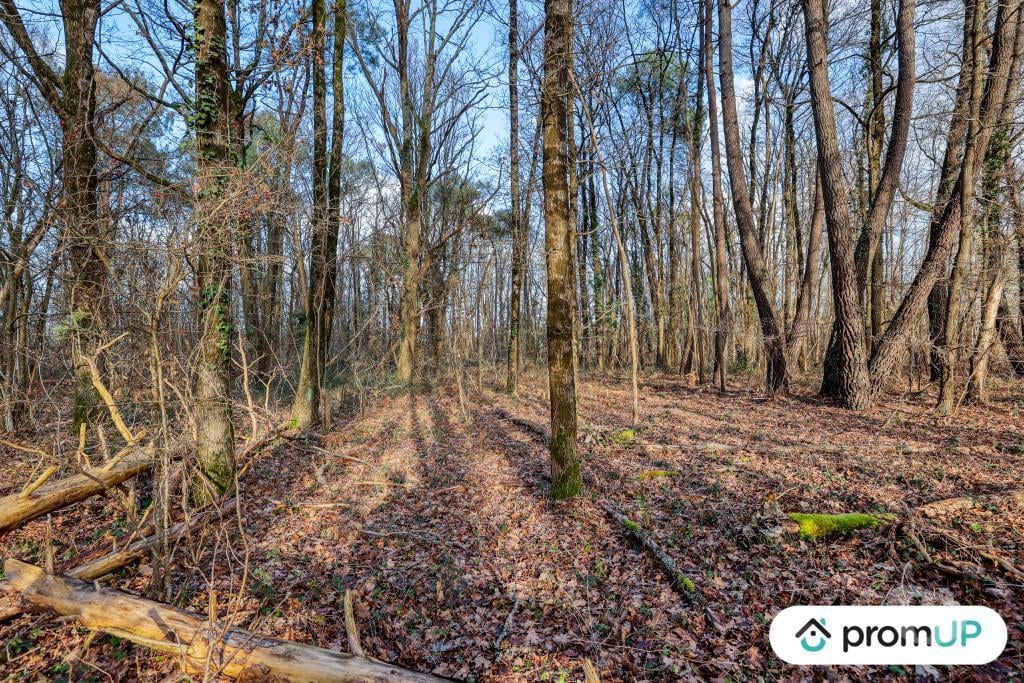 Terrain à vendre Loir-et-Cher Chatillon sur Cher - 41130 - Photos Vivastreet (V6496) Terrain (forêt) de 770 m2 à CHÂTILLON-SUR-CHER