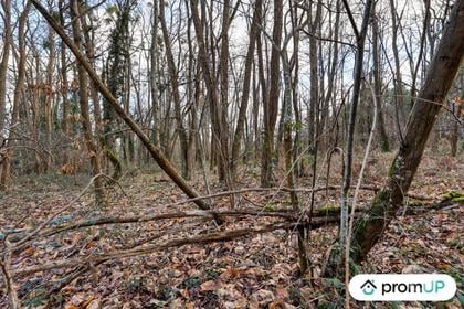 Vente Terrain Chatillon sur Cher Loir-et-Cher - Photos Vivastreet (V6496) Terrain (forêt) de 770 m2 à CHÂTILLON-SUR-CHER