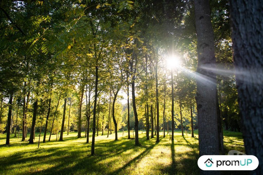 Terrain à vendre Loir-et-Cher Meusnes - 41130 - Photos Vivastreet (V6498) Forêt de 645 m2 à MEUSNES