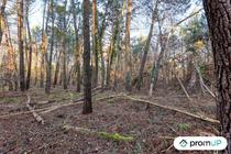 (V6499) Forêt de 1595 m2 à CHÂTILLON-SUR-CHER