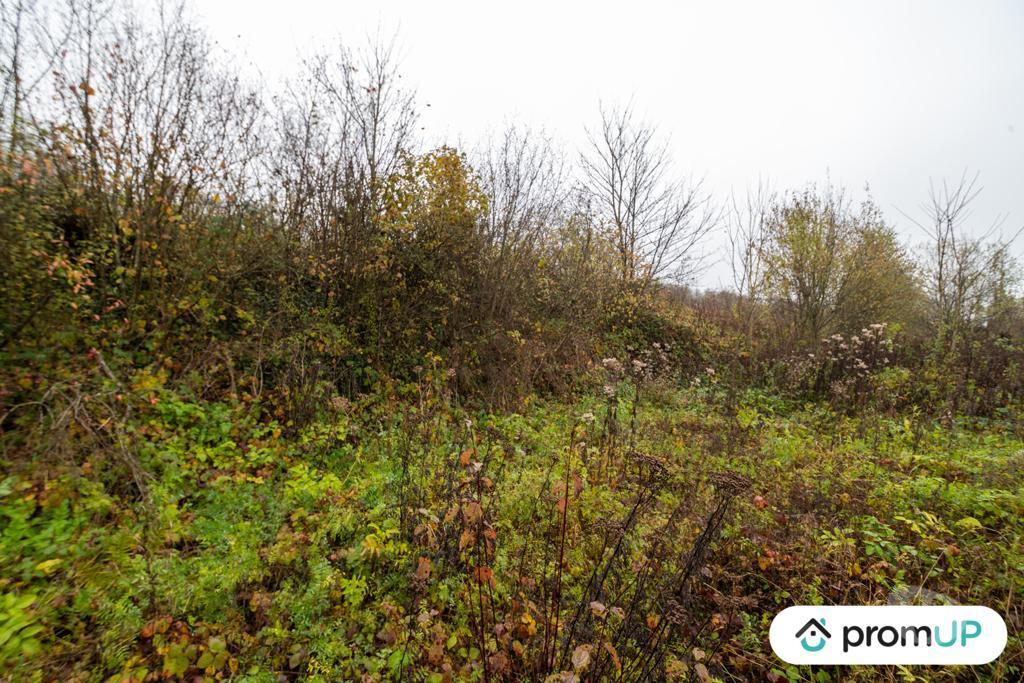 Terrain à vendre Ardennes Haraucourt - 08450 - Photos Vivastreet (VT1117) Terrain constructible de 4335m² situé à Haraucourt