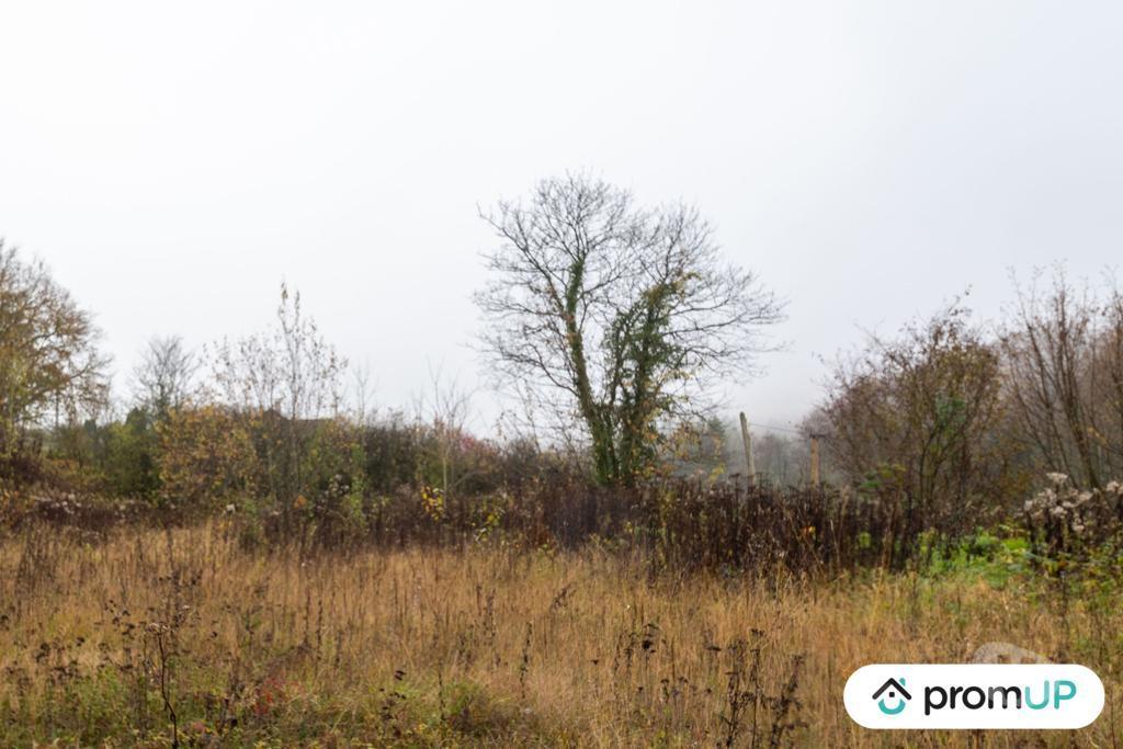 Terrain à vendre Ardennes Haraucourt - 08450 - Photos Vivastreet (VT1117) Terrain constructible de 4335m² situé à Haraucourt