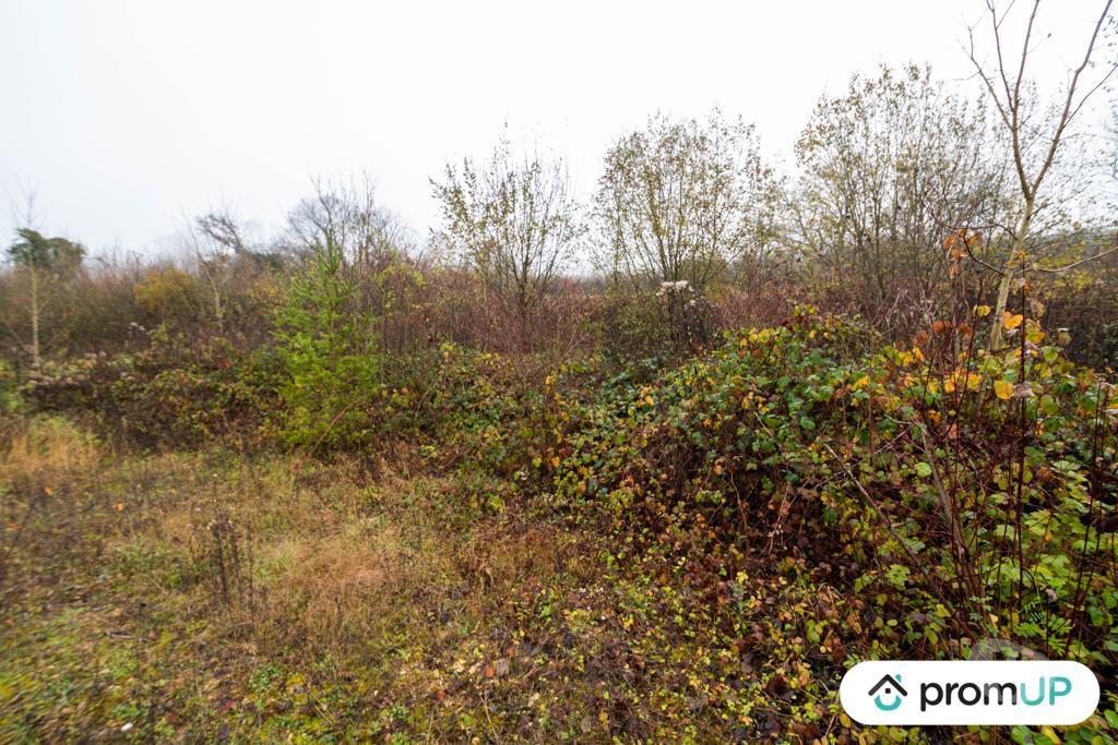 Terrain à vendre Ardennes Haraucourt - 08450 - Photos Vivastreet (VT1117) Terrain constructible de 4335m² situé à Haraucourt