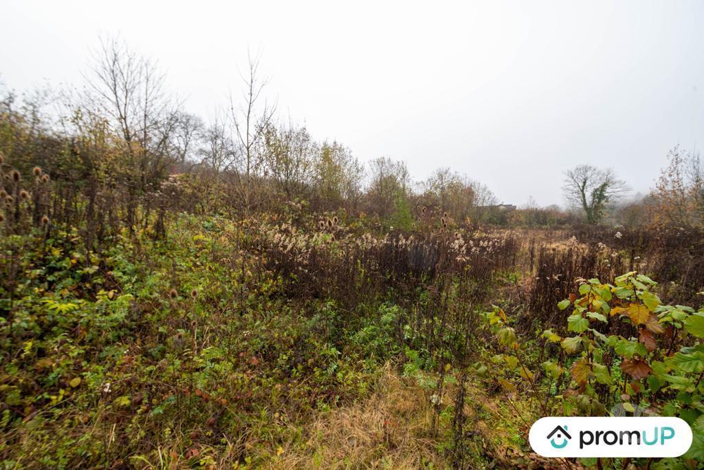 Terrain à vendre Ardennes Haraucourt - 08450 - Photos Vivastreet (VT1117) Terrain constructible de 4335m² situé à Haraucourt