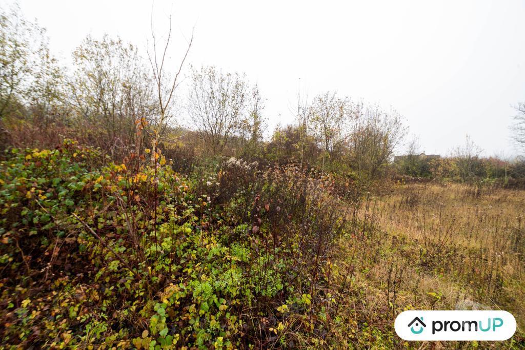 Terrain à vendre Ardennes Haraucourt - 08450 - Photos Vivastreet (VT1117) Terrain constructible de 4335m² situé à Haraucourt