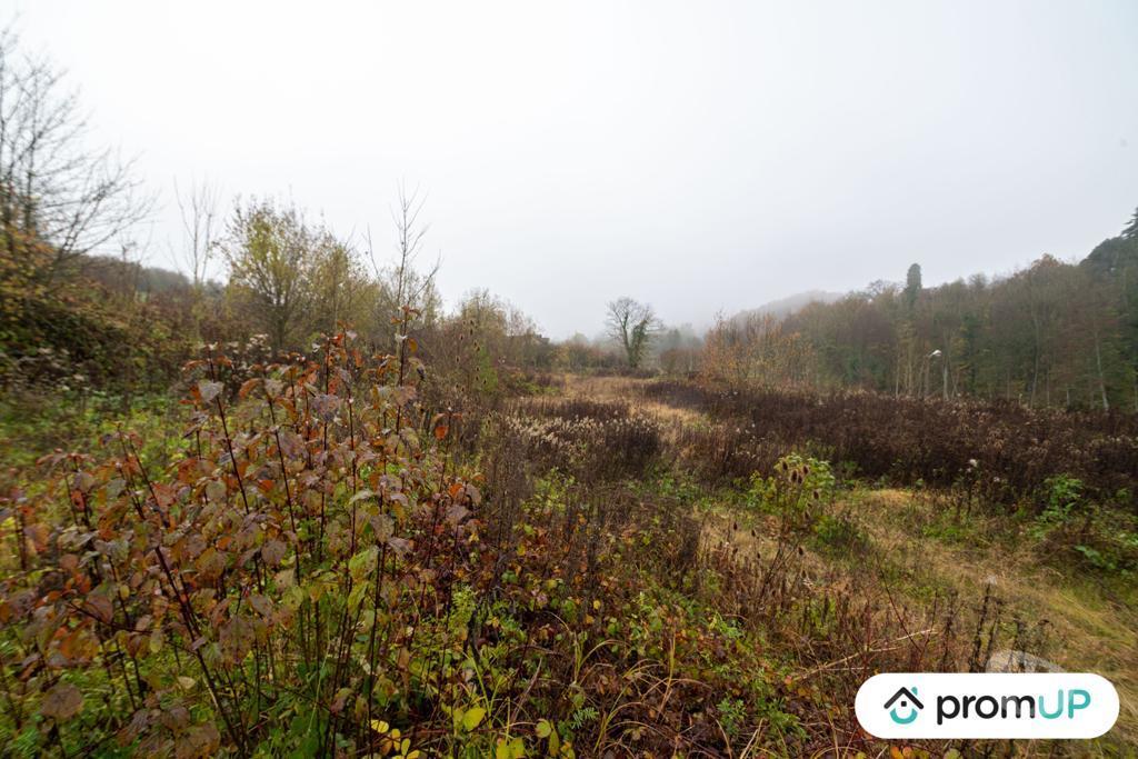 Terrain à vendre Ardennes Haraucourt - 08450 - Photos Vivastreet (VT1117) Terrain constructible de 4335m² situé à Haraucourt