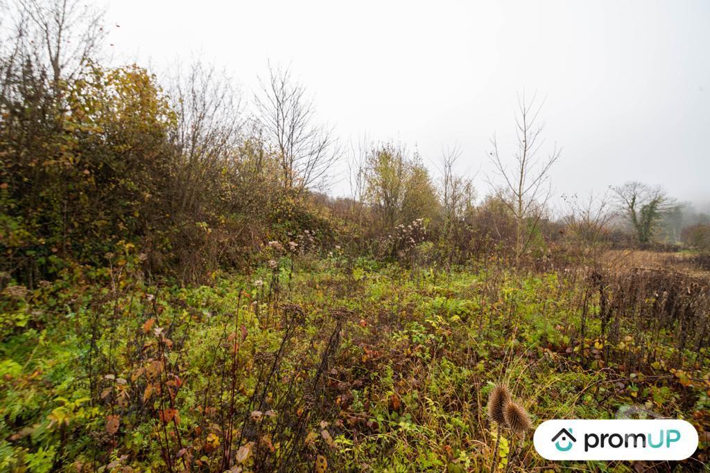 Terrain à vendre Ardennes Haraucourt - 08450 - Photos Vivastreet (VT1117) Terrain constructible de 4335m² situé à Haraucourt