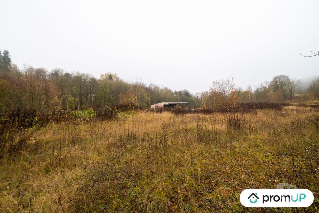 Terrain à vendre Ardennes Haraucourt - 08450 - Photos Vivastreet (VT1117) Terrain constructible de 4335m² situé à Haraucourt