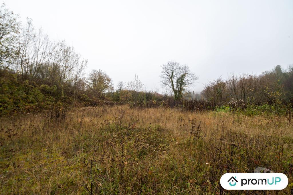 Terrain à vendre Ardennes Haraucourt - 08450 - Photos Vivastreet (VT1117) Terrain constructible de 4335m² situé à Haraucourt
