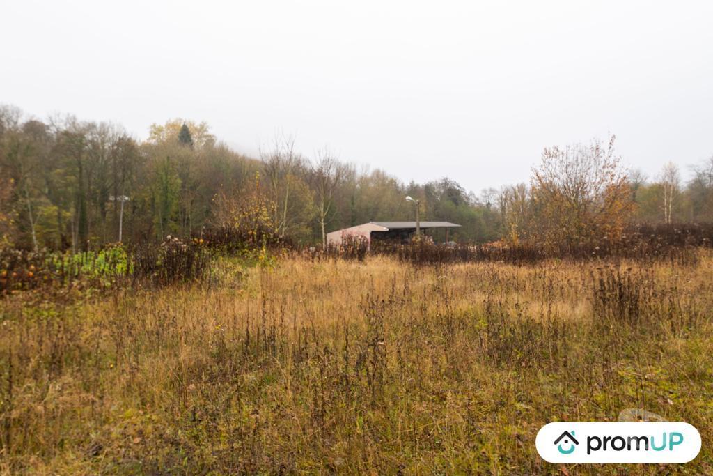 Terrain à vendre Ardennes Haraucourt - 08450 - Photos Vivastreet (VT1119) Terrain constructible de 3330m² situé à Haraucourt