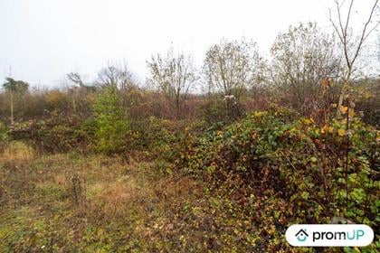 Terrain à vendre Haraucourt Ardennes - Photos Vivastreet (VT1119) Terrain constructible de 3330m² situé à Haraucourt