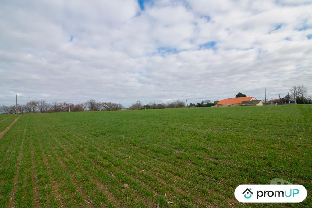 Terrain à vendre Gers Sempesserre - 32700 - Photos Vivastreet (V6511) Terrain agricole de 6000 m2 à SEMPESSERRE