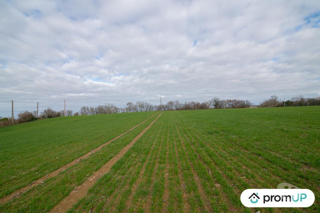 Terrain à vendre Gers Sempesserre - 32700 - Photos Vivastreet (V6511) Terrain agricole de 6000 m2 à SEMPESSERRE