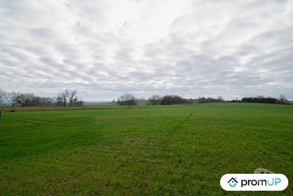 Terrain à vendre Gers Sempesserre - 32700 - Photos Vivastreet (V6511) Terrain agricole de 6000 m2 à SEMPESSERRE