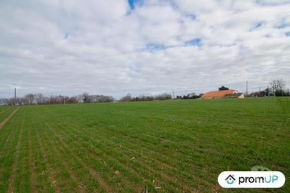 Vente Terrain Sempesserre Gers - Photos Vivastreet (V6511) Terrain agricole de 6000 m2 à SEMPESSERRE