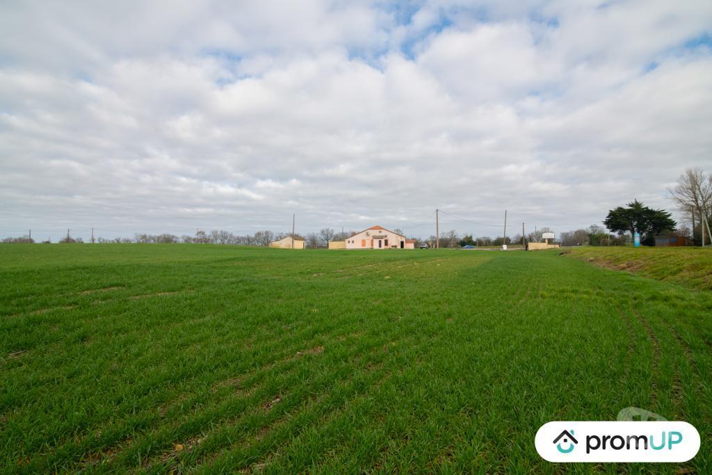 Terrain à vendre Gers Sempesserre - 32700 - Photos Vivastreet (V6510) Terrain agricole de 6000 m2 à SEMPESSERRE