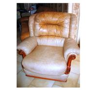 Fauteuils cuir salon de luxe