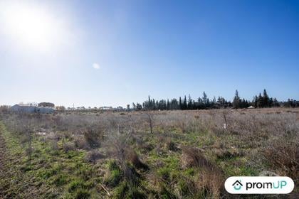 Terrain à vendre Portiragnes Portiragnes - Photos Vivastreet (V6535) Terrain agricole de 3200 m2 à PORTIRAGNES