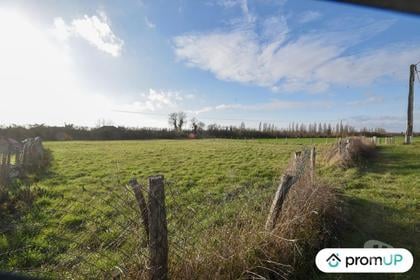 Vente Terrain Chemilly sur Yonne Yonne - Photos Vivastreet (V6543) Terrain de 1715 m2 à CHEMILLY-SUR-YONNE