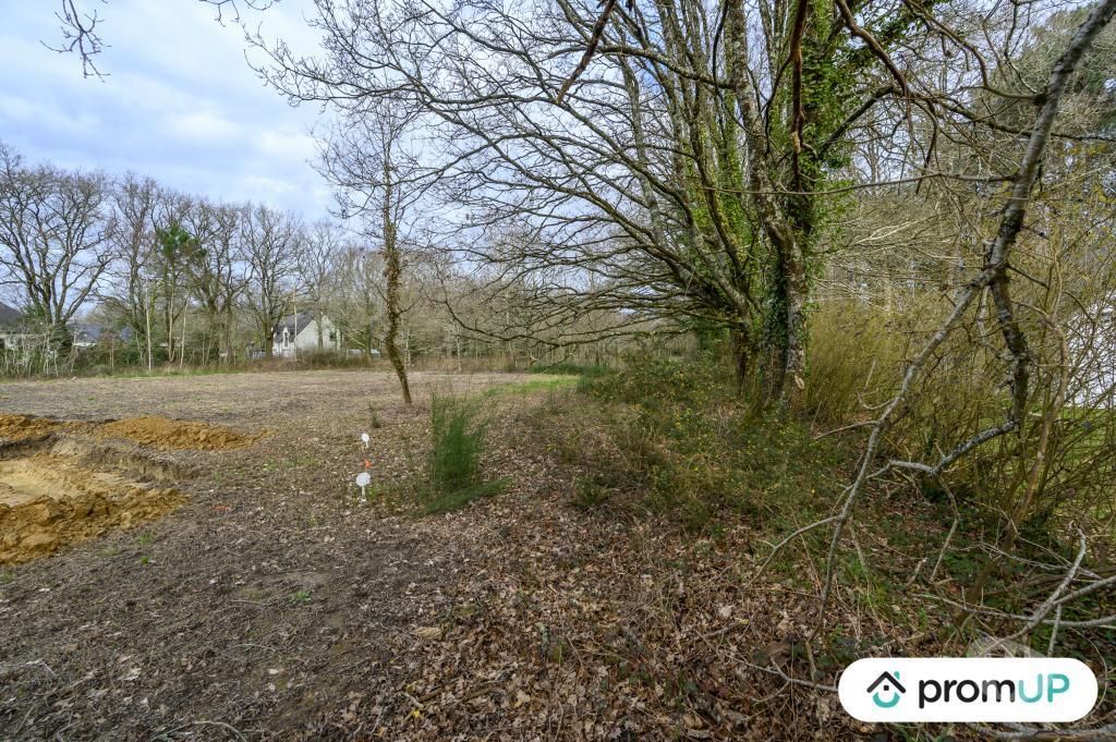 Terrain à vendre Morbihan Ferel - 56130 - Photos Vivastreet (V6533) Terrain constructible de 1209 m2 à FÉREL