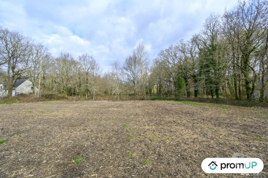 Terrain à vendre Morbihan Ferel - 56130 - Photos Vivastreet (V6533) Terrain constructible de 1209 m2 à FÉREL