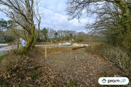 Vente Terrain Ferel Morbihan - Photos Vivastreet (V6533) Terrain constructible de 1209 m2 à FÉREL