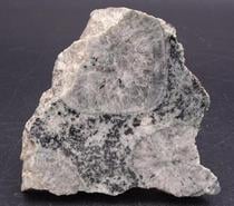 Diorite orbiculaire (Corsite Napoléonite) Sainte-Lucie-de-Ta