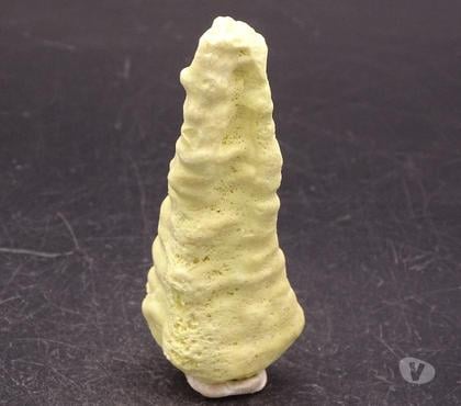 Collection Bertrichamps Meurthe-et-Moselle - Photos Vivastreet Soufre Stalagmite , Mexique 47gr 84 x 32 x 29 mm