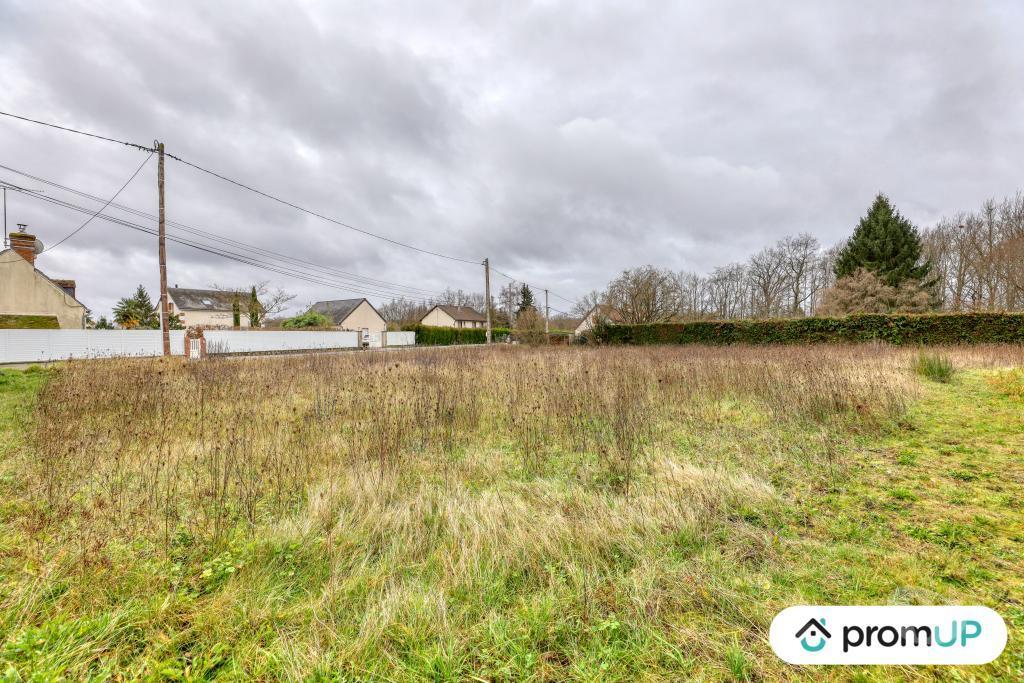 Terrain à vendre Loir-et-Cher Cheverny - 41700 - Photos Vivastreet (VT1164) Vaste terrain à Cheverny au cœur de la Sologne viticole