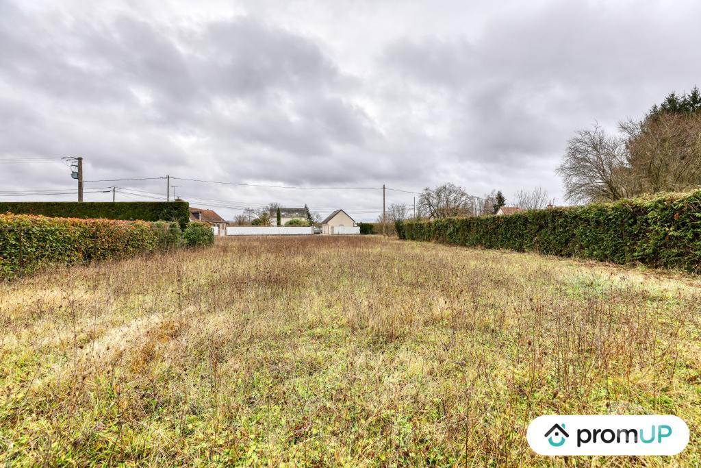 Terrain à vendre Loir-et-Cher Cheverny - 41700 - Photos Vivastreet (VT1164) Vaste terrain à Cheverny au cœur de la Sologne viticole