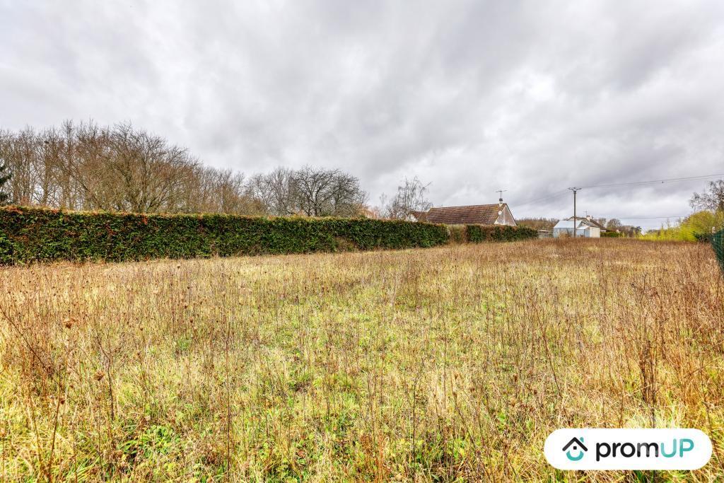 Terrain à vendre Loir-et-Cher Cheverny - 41700 - Photos Vivastreet (VT1164) Vaste terrain à Cheverny au cœur de la Sologne viticole