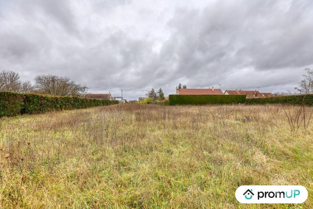Terrain à vendre Loir-et-Cher Cheverny - 41700 - Photos Vivastreet (VT1164) Vaste terrain à Cheverny au cœur de la Sologne viticole