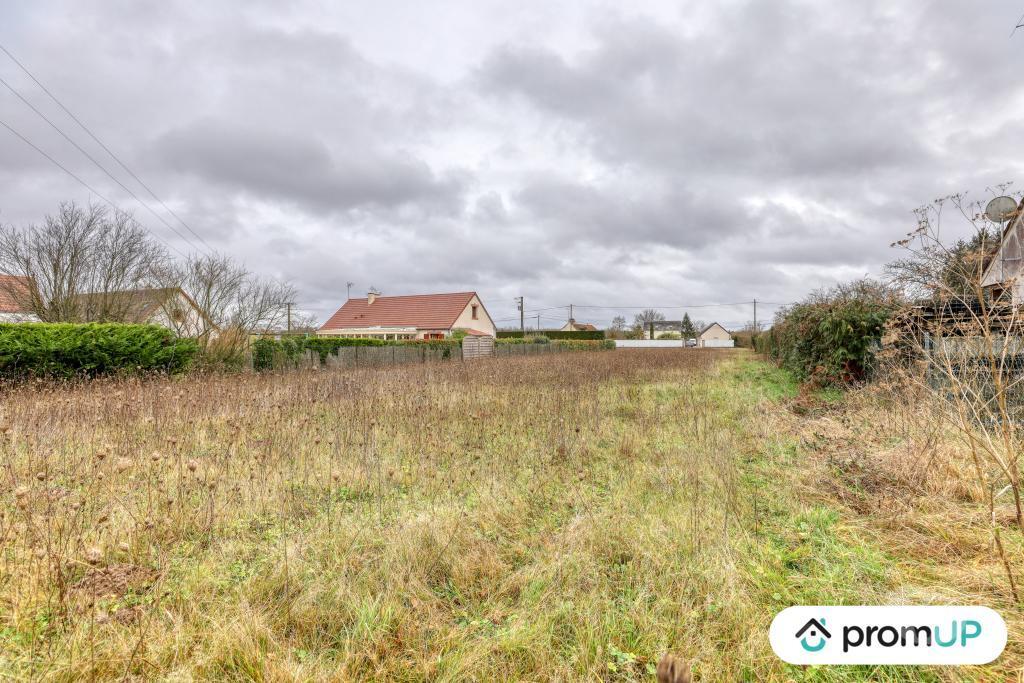 Terrain à vendre Loir-et-Cher Cheverny - 41700 - Photos Vivastreet (VT1164) Vaste terrain à Cheverny au cœur de la Sologne viticole