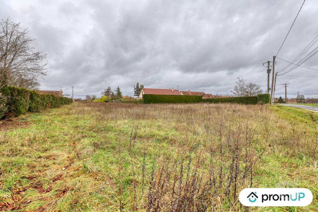 Terrain à vendre Loir-et-Cher Cheverny - 41700 - Photos Vivastreet (VT1164) Vaste terrain à Cheverny au cœur de la Sologne viticole