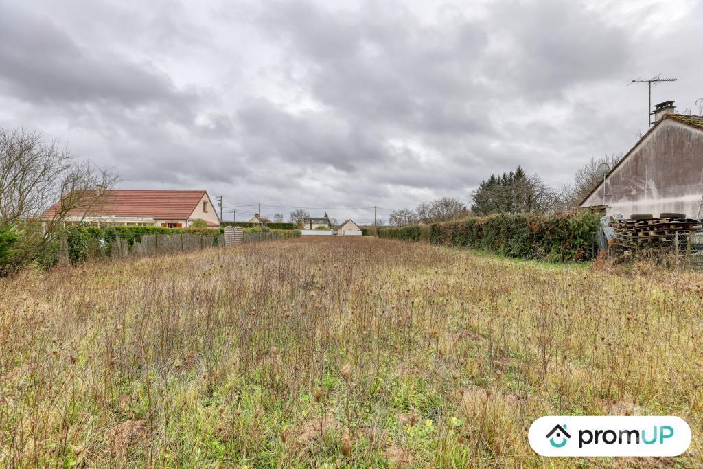 Terrain à vendre Loir-et-Cher Cheverny - 41700 - Photos Vivastreet (VT1164) Vaste terrain à Cheverny au cœur de la Sologne viticole
