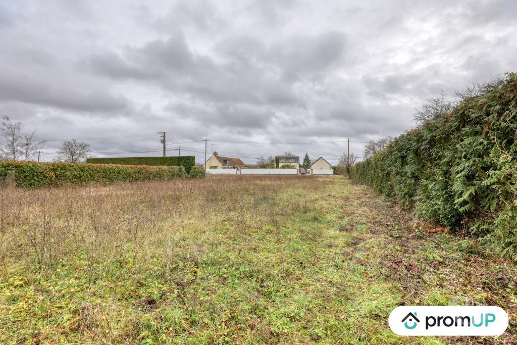 Terrain à vendre Loir-et-Cher Cheverny - 41700 - Photos Vivastreet (VT1164) Vaste terrain à Cheverny au cœur de la Sologne viticole